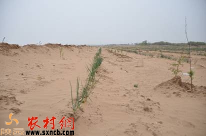 20130520092620366.jpg
